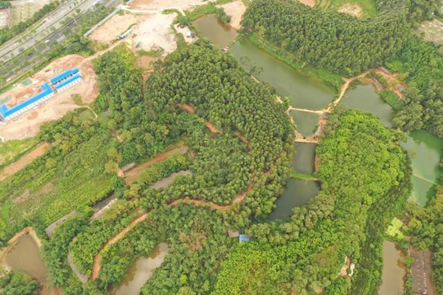 c3bd381cacc569533d404397b3dae4e